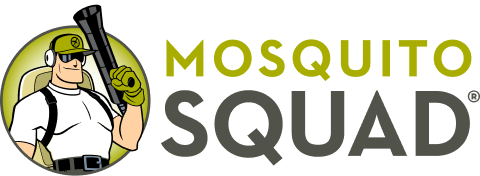 Mosquito Squad